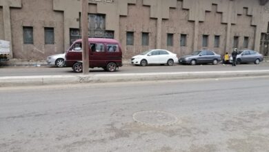 في ظل ارتفاع الحرارة .. أمطار متوسطة بالقليوبية والمحافظة تعلن الطوارئ في ظل ارتفاع الحرارة .. أمطار متوسطة بالقليوبية والمحافظة تعلن الطوارئ