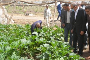 بمناسبة عيد الفلاح .. محافظ القليوبية يتفقد عددا من الصوب الزراعية بمدينه بنها (صور)