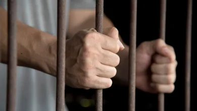السجن 7 سنوات لشخص لاتهامه بخطف طفل وهتك عرضه بطوخ