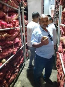 تالفة وبها روائح كريهة .. ضبط 5 طن بطاطس إحدى الثلاجات بالقليوبية