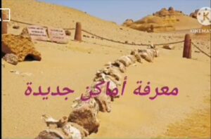 برنامج اكتشف وأعرف.. برنامج تاريخي بشبان بنها 