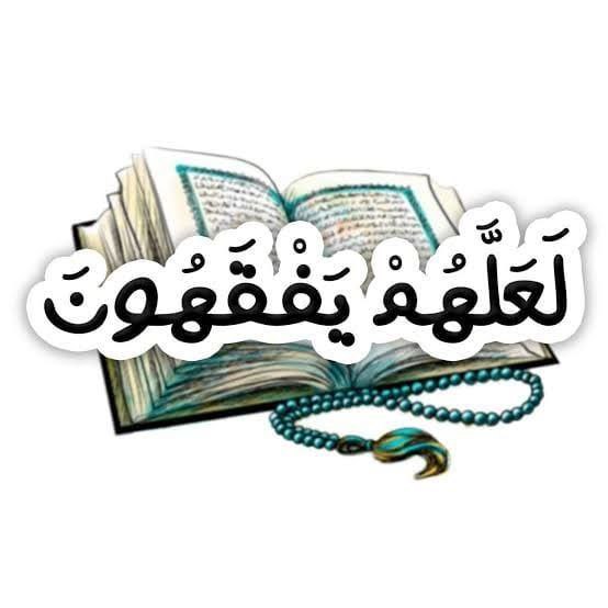 لعلهم يفقهون برنامج مميز للمرحلة الثانوية بشبان بنها لعلهم يفقهون برنامج مميز للمرحلة الثانوية بشبان بنها