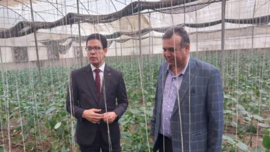 خلال جولته بكلية الزراعة بمشتهر .. "الجيزاوي" : نتبنى نموذج الجامعة المنتجة لخدمة المجتمع المحيط