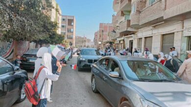 بأعلام فلسطين وممر شرفي .. أطفال ترسا بالقليوبية يستقبلون وزير الاتصالات بأعلام فلسطين وممر شرفي .. أطفال ترسا بالقليوبية يستقبلون وزير الاتصالات