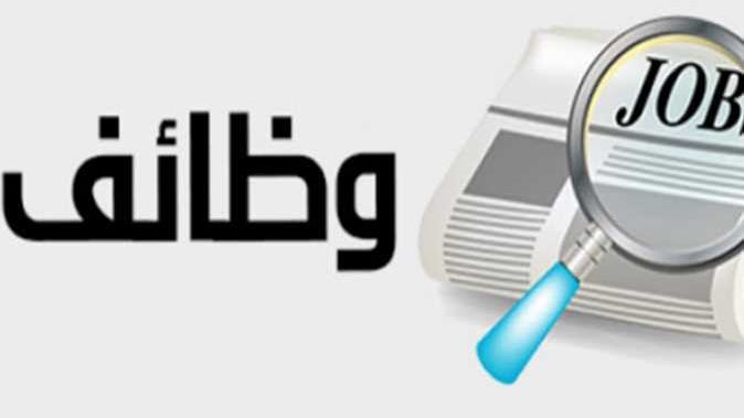 373 فرصة عمل بالقليوبية.. تعرف عليها 373 فرصة عمل بالقليوبية.. تعرف عليها