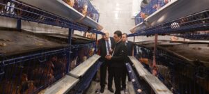 رئيس جامعة بنها يشهد بدء موسم زراعة القمح في مزارع كلية الزراعة