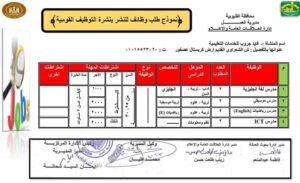 373 فرصة عمل بالقليوبية.. تعرف عليها