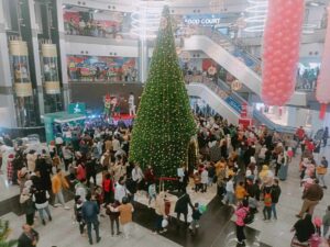 بشجرة كريسماس ضخمة .. مواطني القليوبية يحتفلون باستقبال العام الجديد (صور)