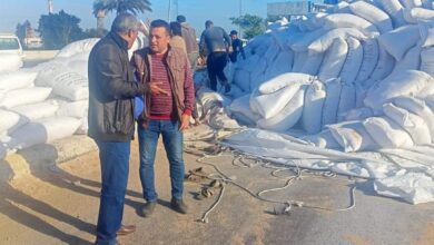 إعادة حركة المرور بالطريق الزراعي ببنها بعد انقلاب "تريلا" (صور) إعادة حركة المرور بالطريق الزراعي ببنها بعد انقلاب "تريلا" (صور)