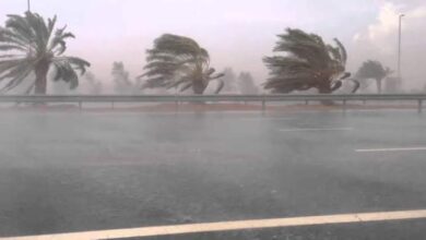 استمرار الأجواء الشتوية.. تعرف علي طقس غدا بالقليوبية استمرار الأجواء الشتوية.. تعرف علي طقس غدا بالقليوبية