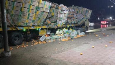 تعطل حركة الطريق الزراعي بسبب انقلاب حمولة برتقال بالقليوبية تعطل حركة الطريق الزراعي بسبب انقلاب حمولة برتقال بالقليوبية