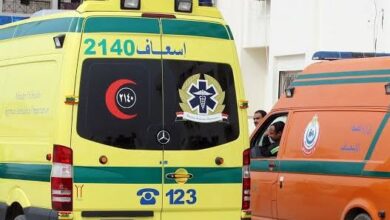 يعملوها العيال .. 9 أشخاص يعتدون على سائق بالقليوبية