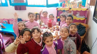 كب كيك مختلف ومتميز مع براعم شبان بنها كب كيك مختلف ومتميز مع براعم شبان بنها