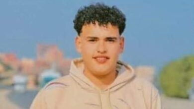 تعليم القليوبية تحقق في واقعة طالب لزميله بمدرسة في القليوبية