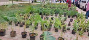 رئيس جامعة بنها يفتتح معرض الزهور الأول احتفالا بأعياد الربيع