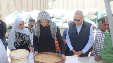 محافظ القليوبية يتابع توريد القمح بـ صومعة الغلال بعرب العليقات بالخانكة محافظ القليوبية يتابع توريد القمح بـ صومعة الغلال بعرب العليقات بالخانكة