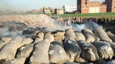التحفظ على 14 طن أقطان رديئة داخل محلجين بالقليوبية