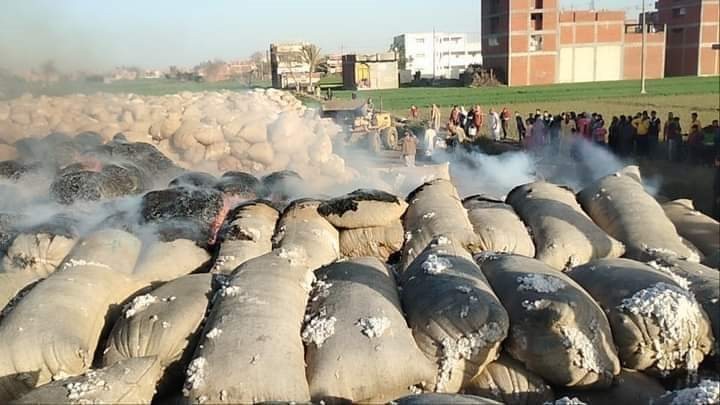 التحفظ على 14 طن أقطان رديئة داخل محلجين بالقليوبية