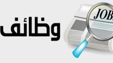 القوى العاملة بالقليوبية تعلن توفير 21 فرصة عمل شاغرة القوى العاملة بالقليوبية تعلن توفير 21 فرصة عمل شاغرة
