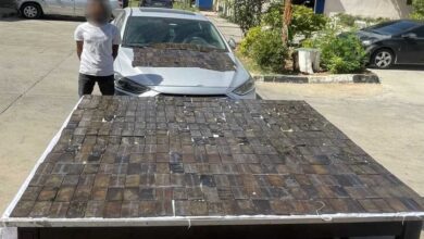 ضبط 50 كيلو حشيش بحوزة عنصرين إجراميين بالعبور