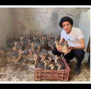 الصاحب الجدع .. وفاة الشاب "يوسف" أصغر مربي نعام في مصر في حادث بطريق شبرا – بنها الحر