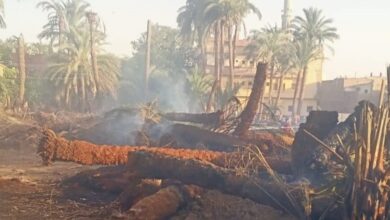مصرع موظف في حريق معلف ماشية بكفر شكر