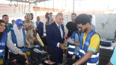 محافظ القليوبية يتفقد انتظام استقبال الأضاحي بالمجازر في أول أيام عيد الأضحى  