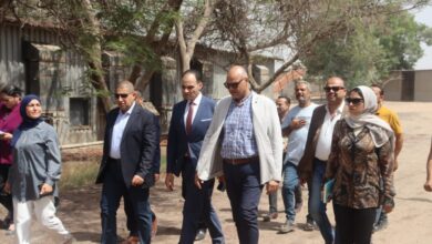 في أول جولة ميدانية .. محافظ القليوبية يتفقد مشروعات حياة كريمة ومنطقة الشروق الصناعية في أول جولة ميدانية .. محافظ القليوبية يتفقد مشروعات حياة كريمة ومنطقة الشروق الصناعية