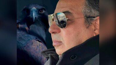 مصطفي عبد الحميد فرج يكتيب : المعرفة قبل القرار .. المحليات مدرسة الديمقراطية