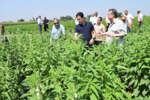 رئيس جامعة بنها يتفقد الموسم الصيفي للمزارع بكلية الزراعة