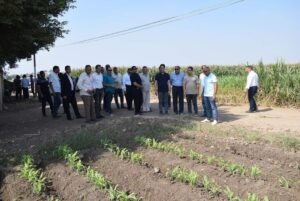 رئيس جامعة بنها يتفقد الموسم الصيفي للمزارع بكلية الزراعة