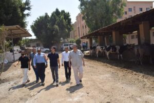 رئيس جامعة بنها يتفقد الموسم الصيفي للمزارع بكلية الزراعة