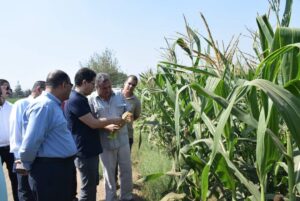 رئيس جامعة بنها يتفقد الموسم الصيفي للمزارع بكلية الزراعة