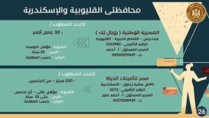 القوى العاملة بالقليوبية تعلن عن 596 فرصة في 10 شركات ومدرسة بمرتبات مجزية 