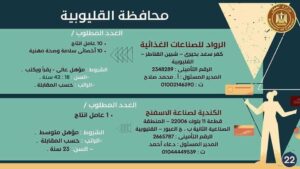 القوى العاملة بالقليوبية تعلن عن 596 فرصة في 10 شركات ومدرسة بمرتبات مجزية 