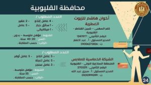 القوى العاملة بالقليوبية تعلن عن 596 فرصة في 10 شركات ومدرسة بمرتبات مجزية 