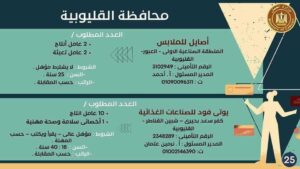 القوى العاملة بالقليوبية تعلن عن 596 فرصة في 10 شركات ومدرسة بمرتبات مجزية 
