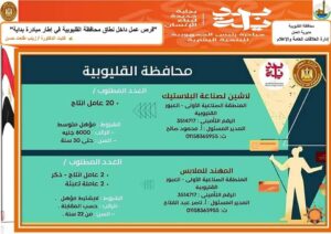 وظائف جديدة بالقليوبية ضمن مبادرة بداية جديدة لبناء الانسان المصري اعرف التفاصيل