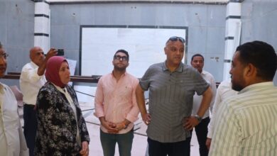 محافظ القليوبيه يتفقد عدد من مشروعات حياة كريمة بشبين القناطر - صور