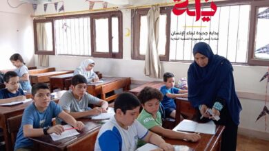 مسابقات بحثية ودورات تدريبية .. "شبان بنها" تواصل فاعليتها في مبادرة بداية مسابقات بحثية ودورات تدريبية .. "شبان بنها" تواصل فاعليتها في مبادرة بداية