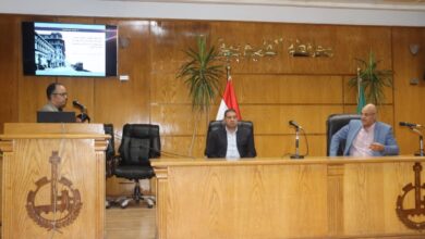محافظ القليوبية يعقد ورشة عمل مع مسئولي الجهاز القومي للتنسيق الحضاري