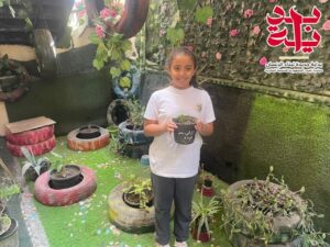 كرة سلة وزراعة نباتات .. شبان بنها تواصل تنفيذ أنشطة مبادرة "بداية"