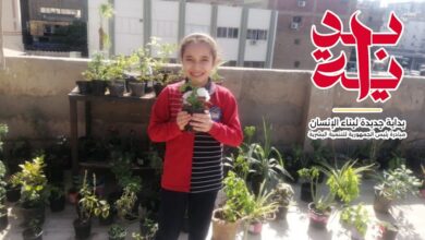التحضر للأخضر.. التوعية بخطورة الادمان.. شبان بنها تواصل أنشطتها في "بداية" التحضر للأخضر.. التوعية بخطورة الادمان.. شبان بنها تواصل أنشطتها في "بداية"
