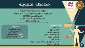 الإعلان عن 323 فرصة في شركات ومصانع بمرتبات مجزية بالقليوبية