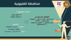 الإعلان عن 323 فرصة في شركات ومصانع بمرتبات مجزية بالقليوبية