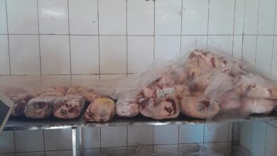ضبط مجزر لإعادة تعبئة دجاج غير صالح للاستهلاك الآدمي بالقليوبية 