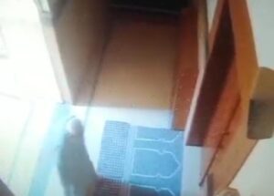 حسن الخاتمة .. وفاة مؤذن عقب فتحه لباب المسجد بالقليوبية 