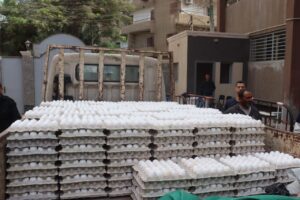 بـ 152 جنيه .. محافظ القليوبية يتابع توفير سيارات بيع بيض المائدة بأسعار مخفضة 