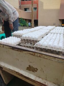 بـ 152 جنيه .. محافظ القليوبية يتابع توفير سيارات بيع بيض المائدة بأسعار مخفضة 