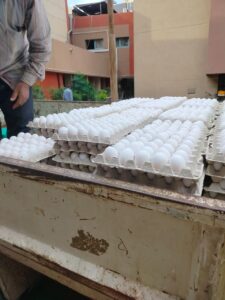 بـ 152 جنيه .. محافظ القليوبية يتابع توفير سيارات بيع بيض المائدة بأسعار مخفضة 